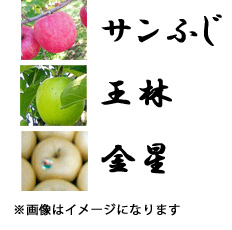 坂本農園の「各種りんごの詰め合わせ（サンふじ・王林・金星）」