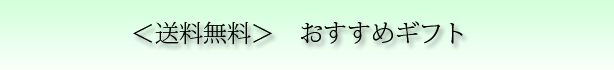 ߏi